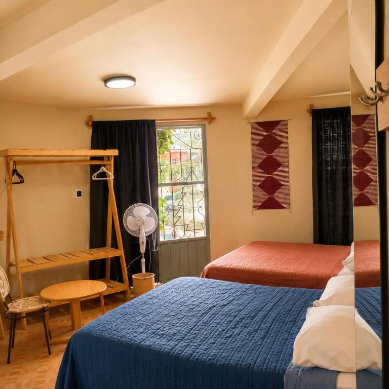 Casa Biche Authentic Experience in Jalatlaco - Apartment - 4