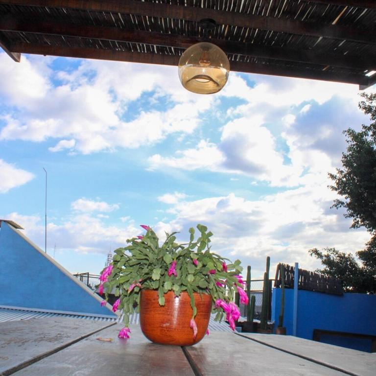 Casa Biche Authentic Experience in Jalatlaco - Apartment - 9