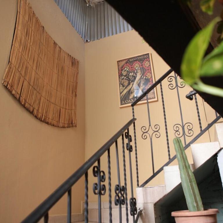 Casa Biche Authentic Experience in Jalatlaco - Apartment - 10