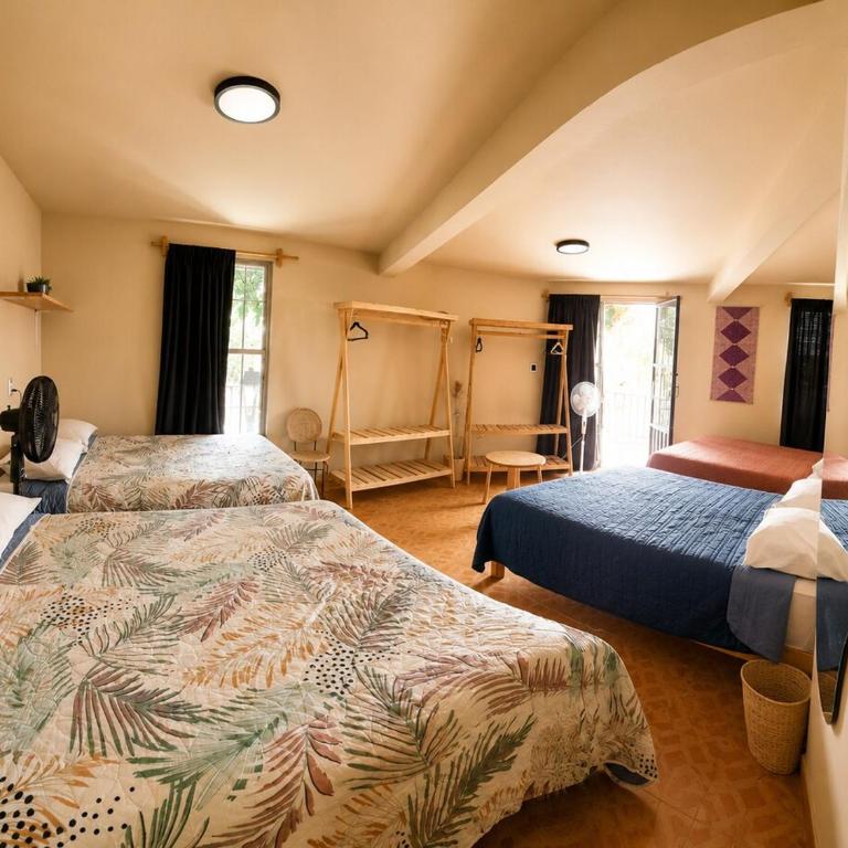 Casa Biche Authentic Experience in Jalatlaco - Apartment - 13
