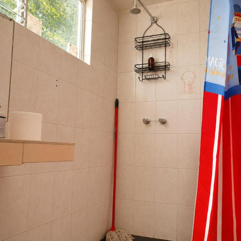 Casa Biche Authentic Experience in Jalatlaco - Apartment - 17