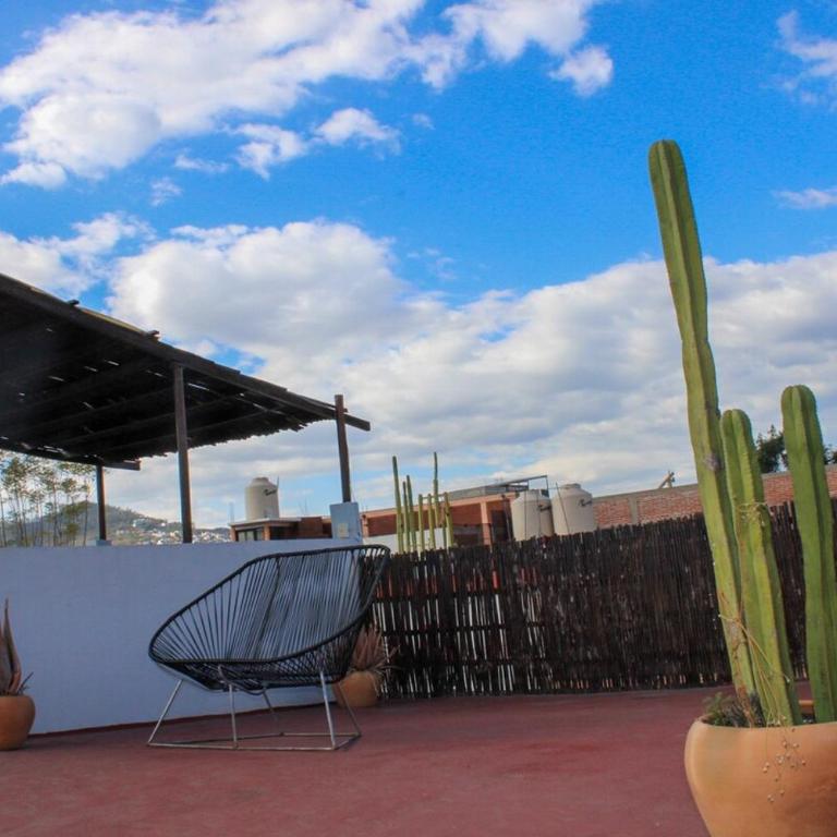 Casa Biche Authentic Experience in Jalatlaco - Apartment - 19