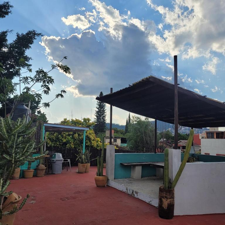Casa Biche Authentic Experience in Jalatlaco - Apartment - 21