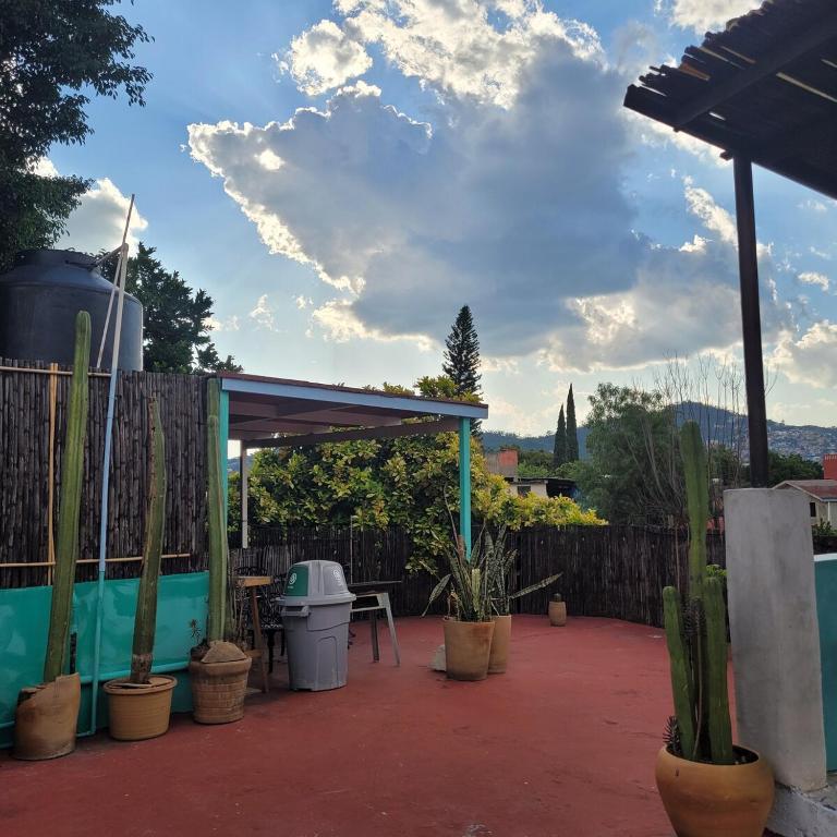 Casa Biche Authentic Experience in Jalatlaco - Apartment - 23