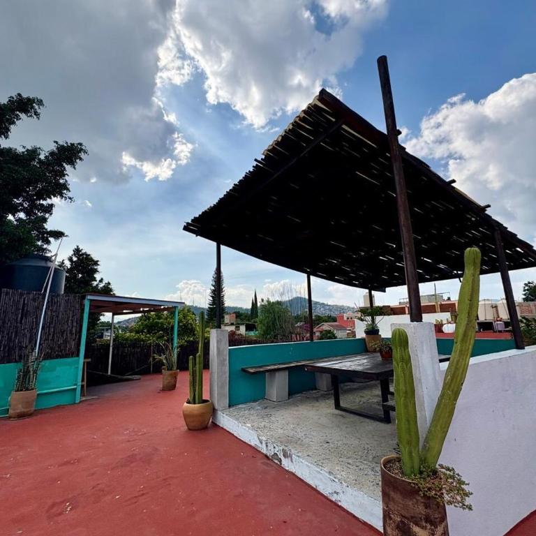 Casa Biche Authentic Experience in Jalatlaco - Apartment - 26