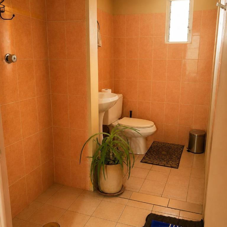Casa Biche Authentic Experience in Jalatlaco - Apartment - 32