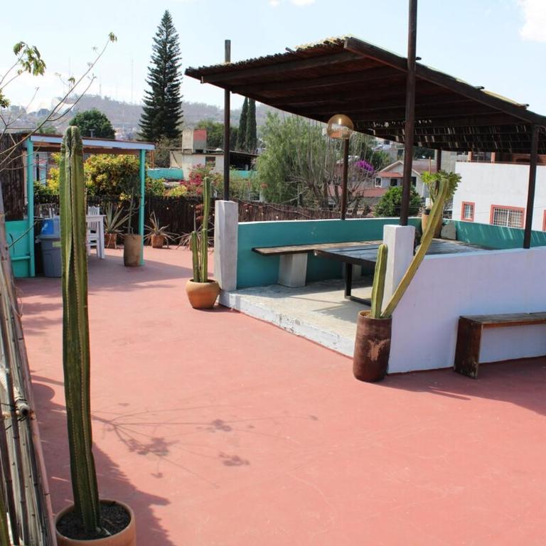 Casa Biche Authentic Experience in Jalatlaco - Apartment - 35