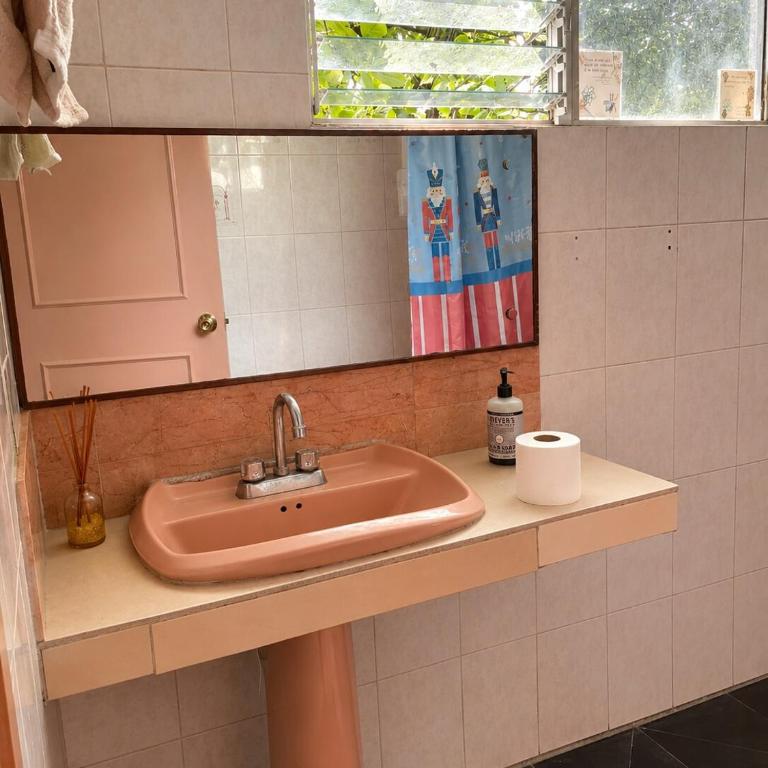 Casa Biche Authentic Experience in Jalatlaco - Apartment - 47