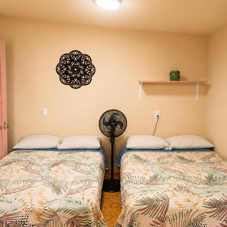 Casa Biche Authentic Experience in Jalatlaco - Apartment - 75
