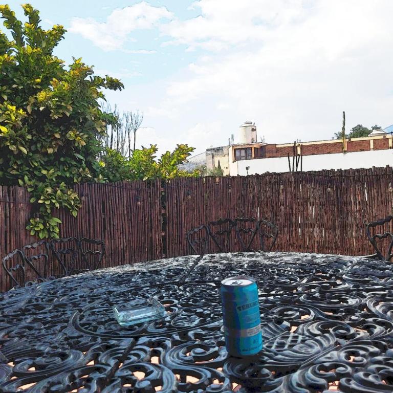Casa Biche Authentic Experience in Jalatlaco - Apartment - 78