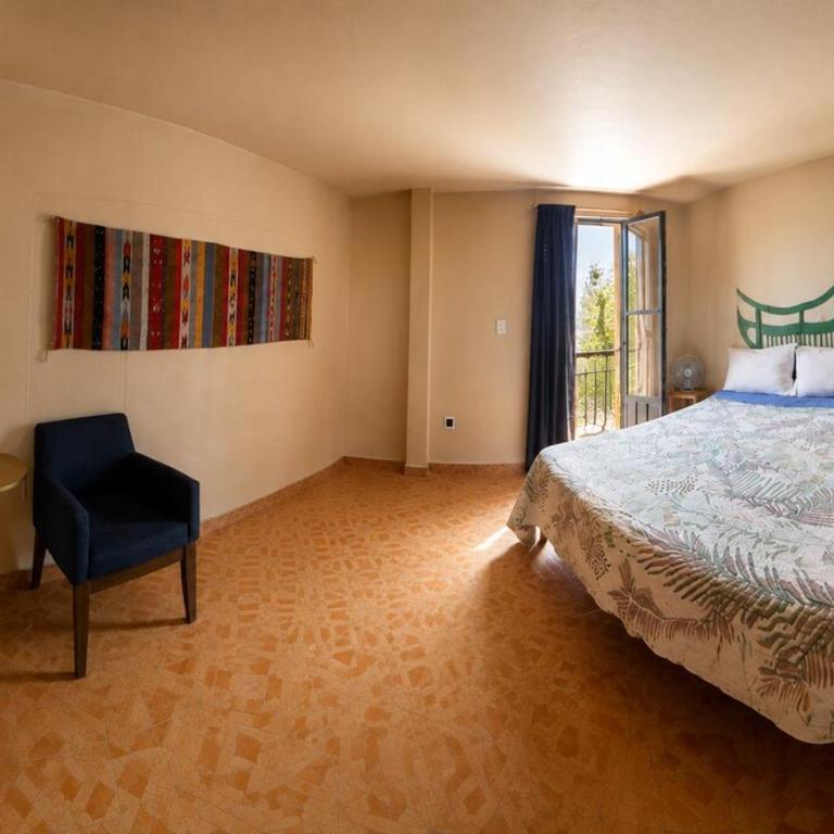 Casa Biche Authentic Experience in Jalatlaco - Apartment - 81