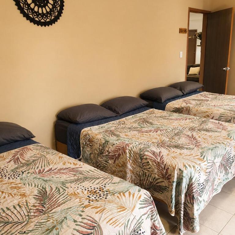 Casa Biche Authentic Experience in Jalatlaco - Apartment - 85