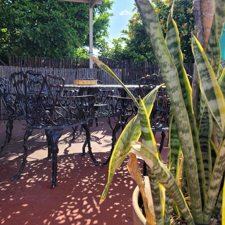 Casa Biche Authentic Experience in Jalatlaco - Apartment - 86