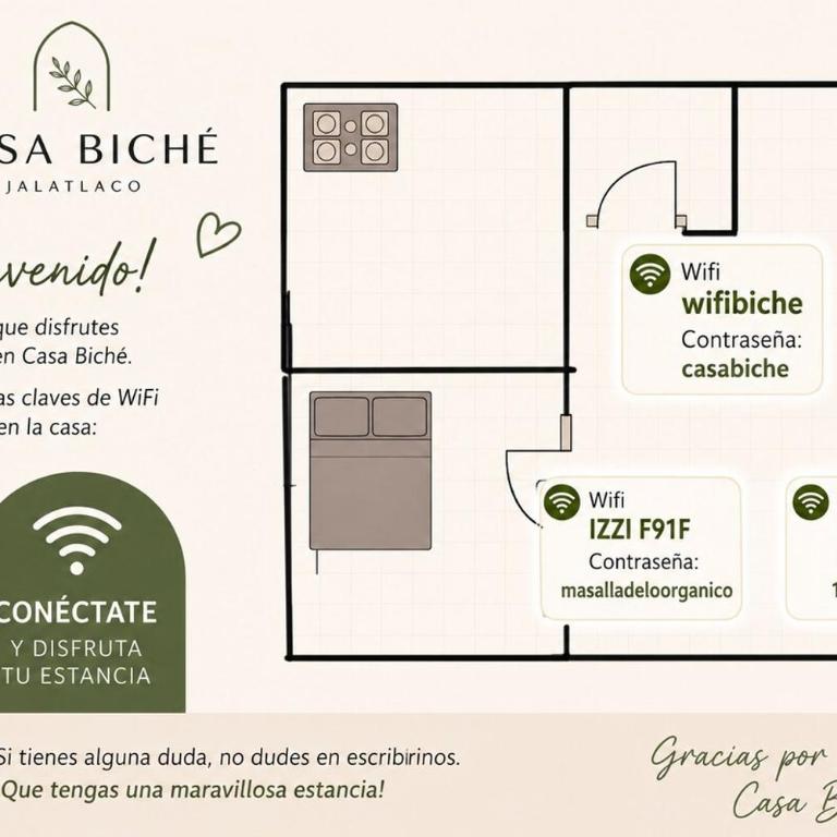 Casa Biche Authentic Experience in Jalatlaco - Apartment - 88