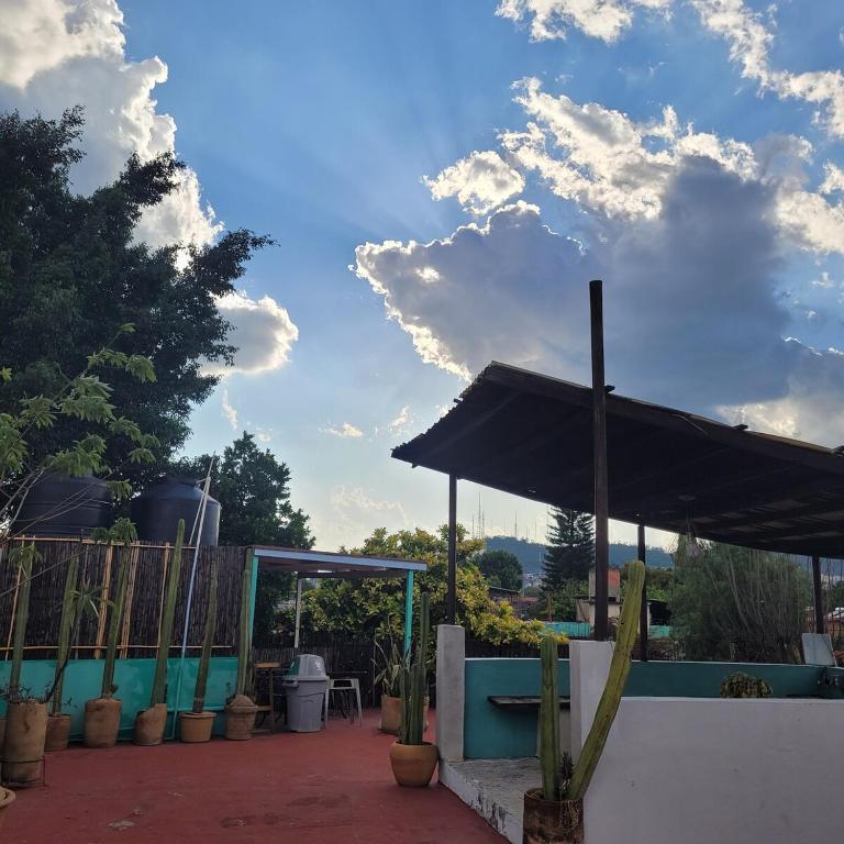 Casa Biche Authentic Experience in Jalatlaco - Apartment - 93