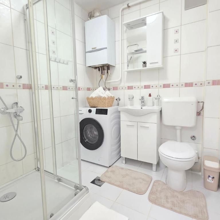 Nook Apartment Sarajevo - Apartman sa 1 Spavaćom Sobom - 28