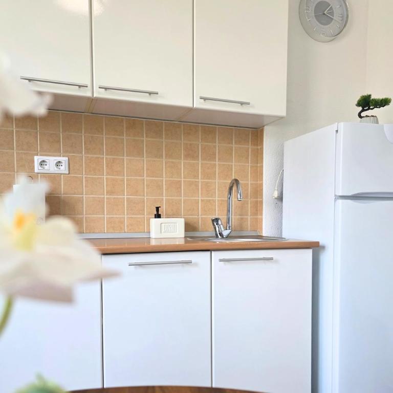 Nook Apartment Sarajevo - Apartman sa 1 Spavaćom Sobom - 30