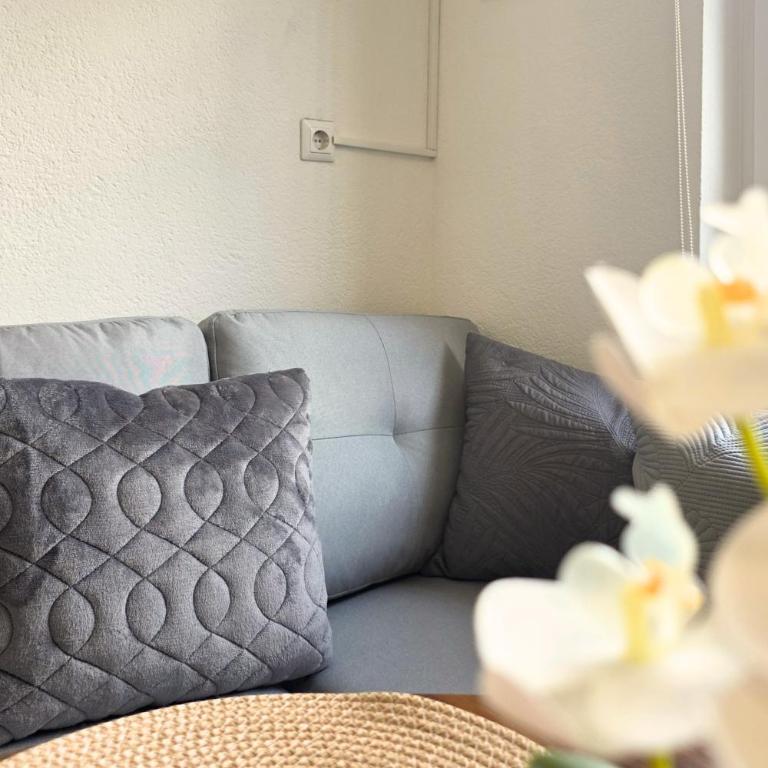 Nook Apartment Sarajevo - Apartman sa 1 Spavaćom Sobom - 31