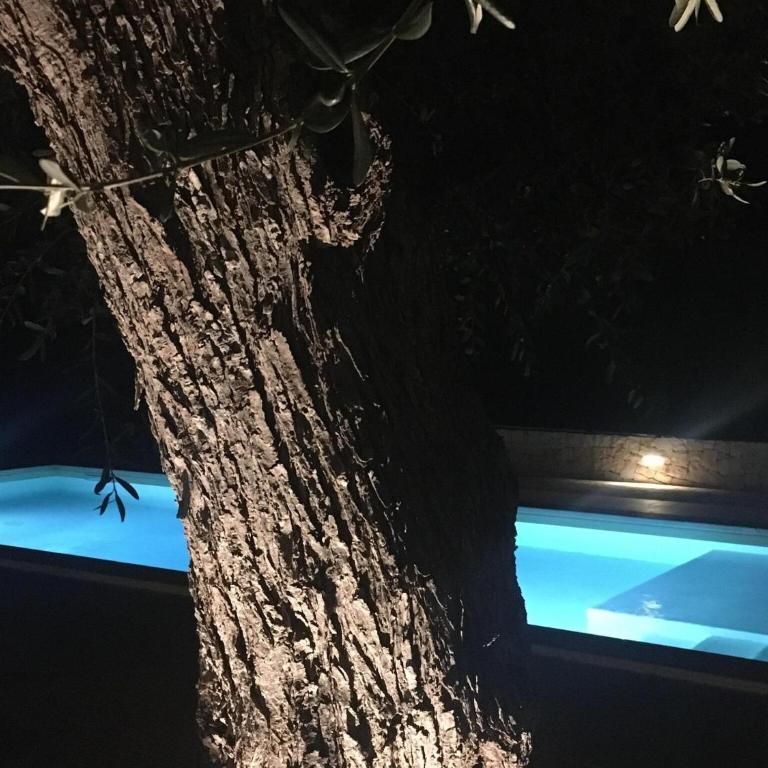 Trullo in Puglia with Private Pool and Charm - Casa Vacanze con 3 Camere da Letto - 10