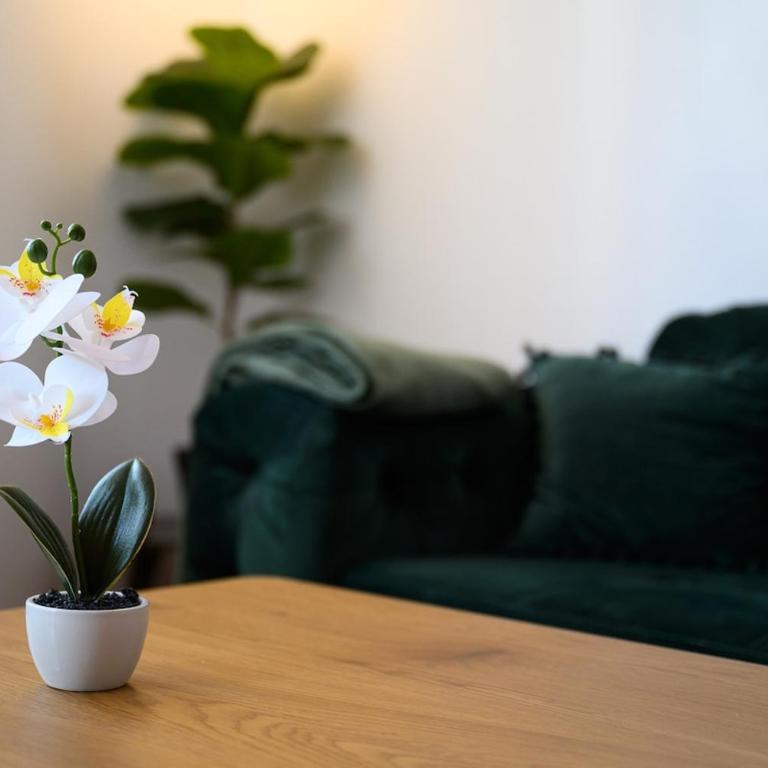 ADA SEVEN Apartment with Free Private Parking - Apartment mit 1 Schlafzimmer - 21