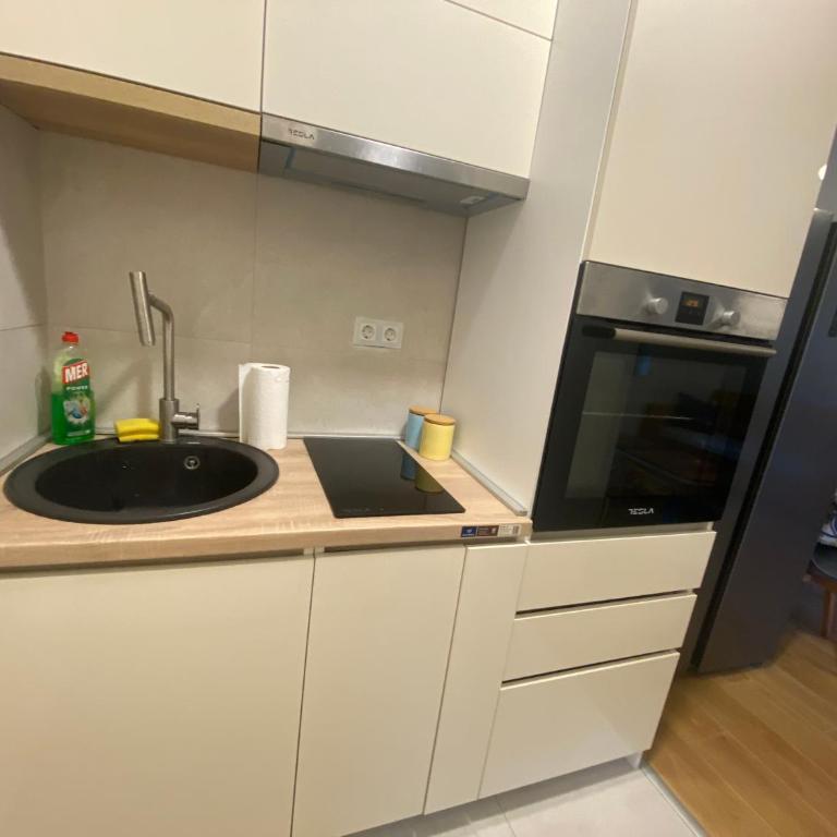 Podgorica 23 - One-Bedroom Apartment - 6