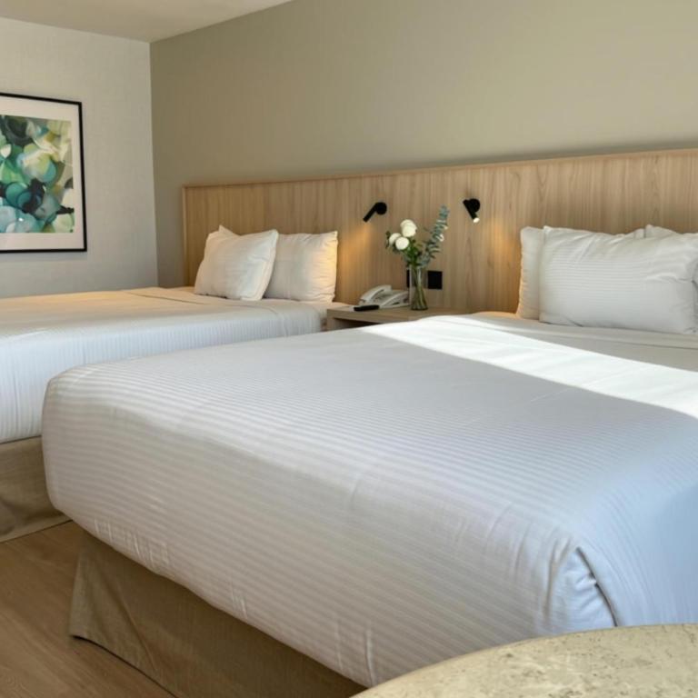 Wyndham Garden Tijuana Palacio Azteca - Habitación Doble Superior con 2 camas dobles - No fumadores - 5