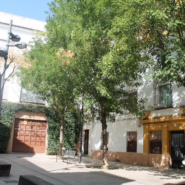 Casa Sille - Two-Room Apartment - 28