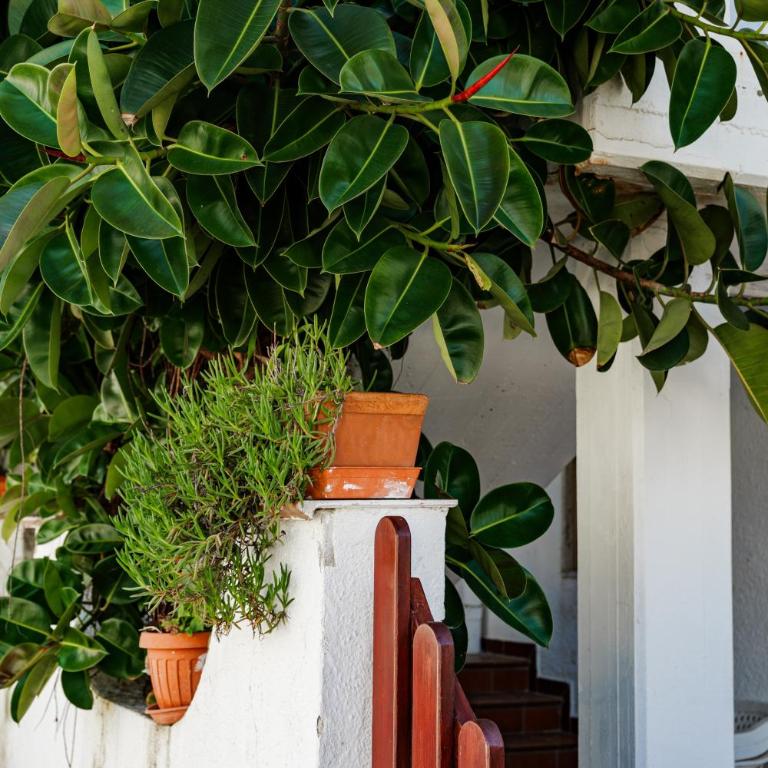 The Captain's beach house - Casa de 5 dormitorios - 42