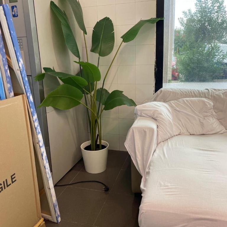 UltimoPiano SF - Appartamento con 2 Camere da Letto - 2