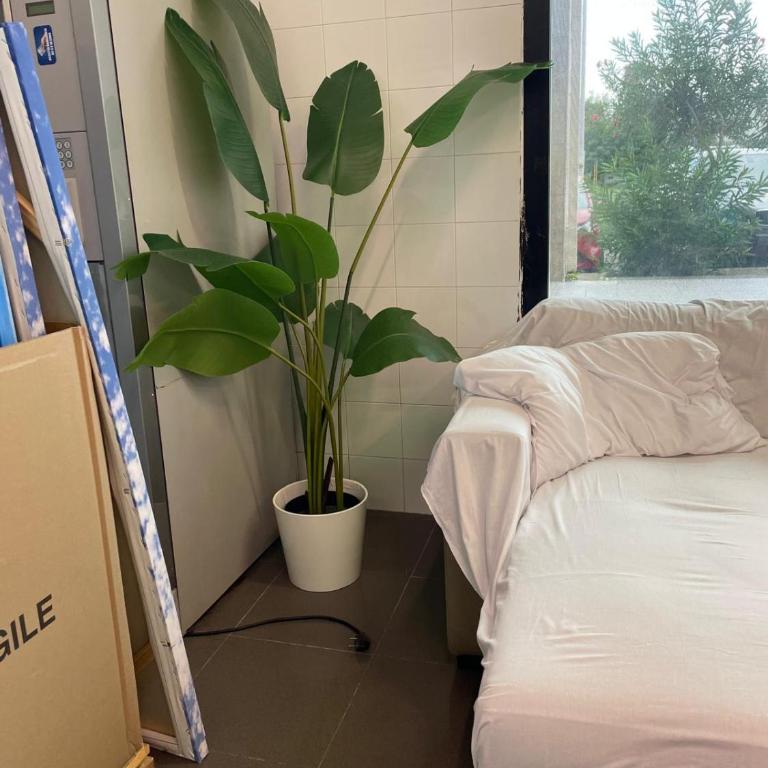 UltimoPiano SF - Appartamento con 2 Camere da Letto - 4