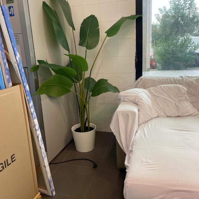 UltimoPiano SF - Appartamento con 2 Camere da Letto - 5