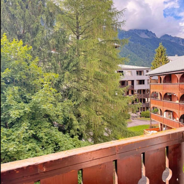Chamonix Balcony & Parking Aiguille du Midi - Appartamento - 15