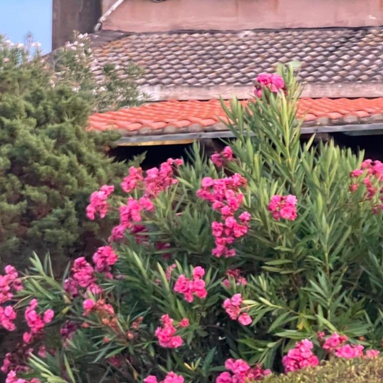 Villa Cosmi - Villa con Vista Mare - 12