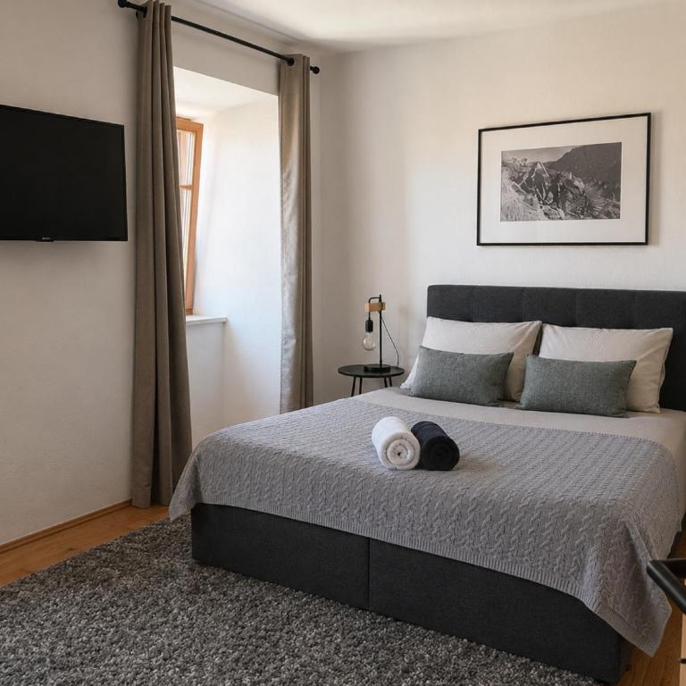 Goesslturm Wohnung 1 - Appartamento con 1 Camera da Letto - 2