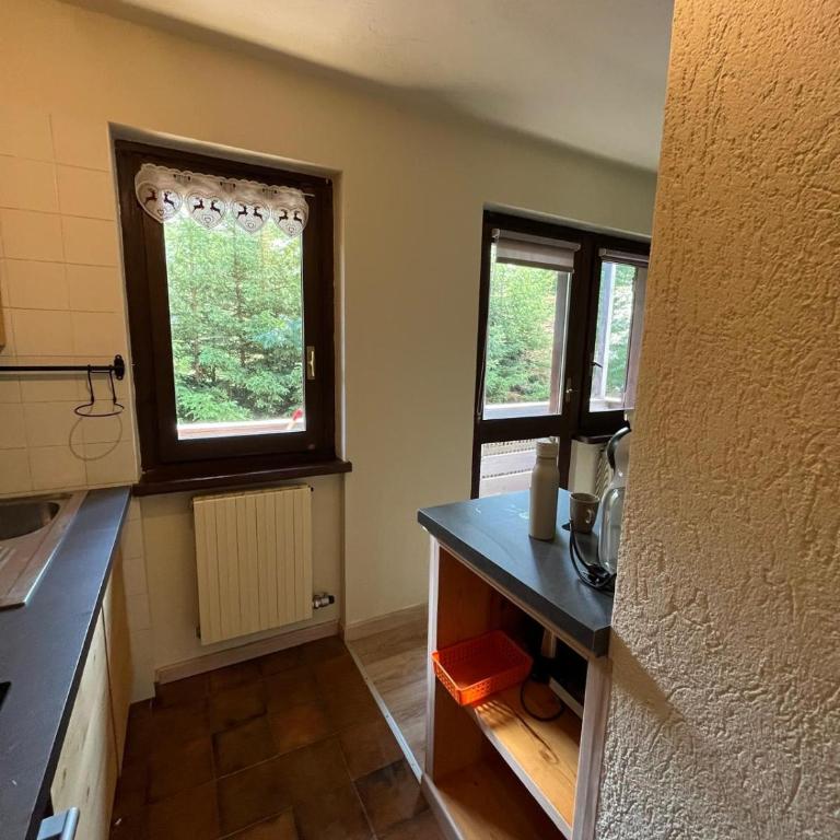 Appartamento a due passi dalle piste - Appartamento con 1 Camera da Letto - 35