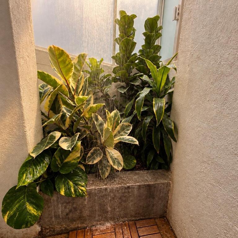 Departamento Urban Black - Appartement 1 Chambre - 13