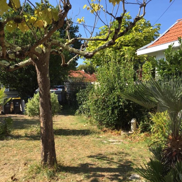 La Toquade - Andernos-Les-Bains - Three-Bedroom House - 19