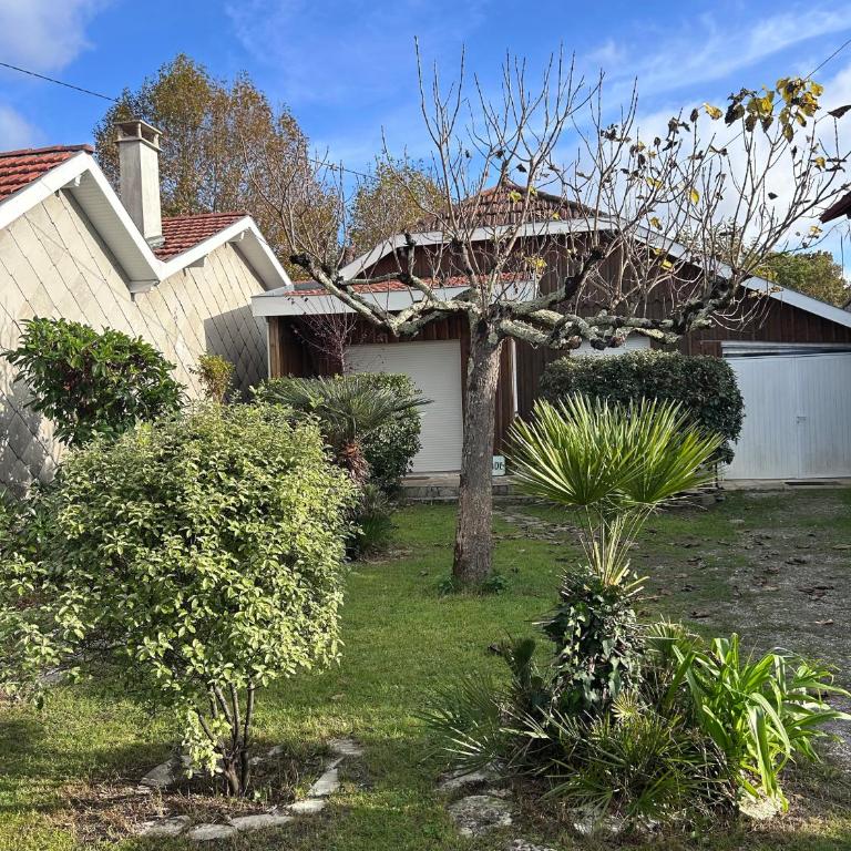 La Toquade - Andernos-Les-Bains - Three-Bedroom House - 20