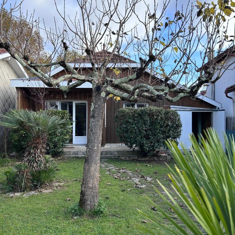 La Toquade - Andernos-Les-Bains - Three-Bedroom House - 18
