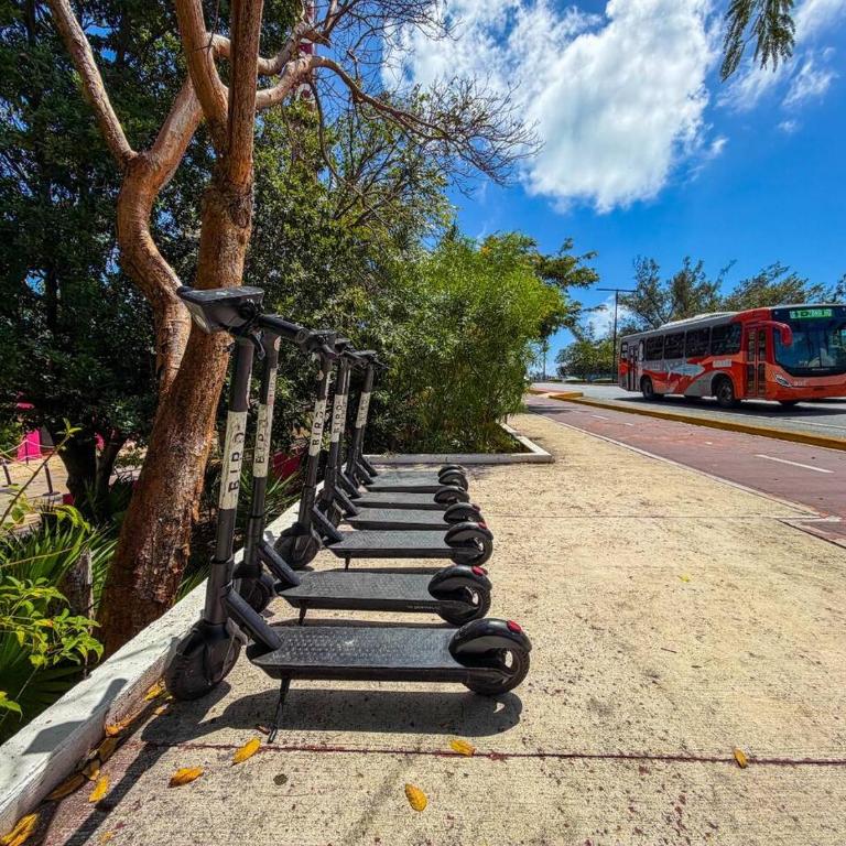 2 Bedroom Ocean Front Condo in the Hotel Zone - Casa - 30