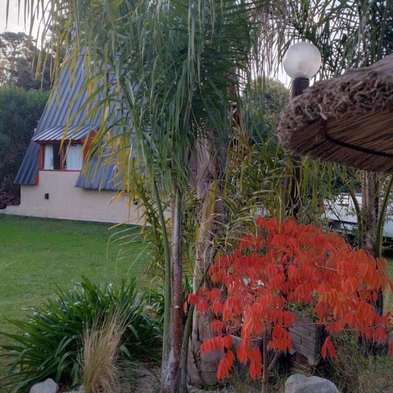 Cabaña soñada en la naturaleza - Apartamento de 3 dormitorios - 25