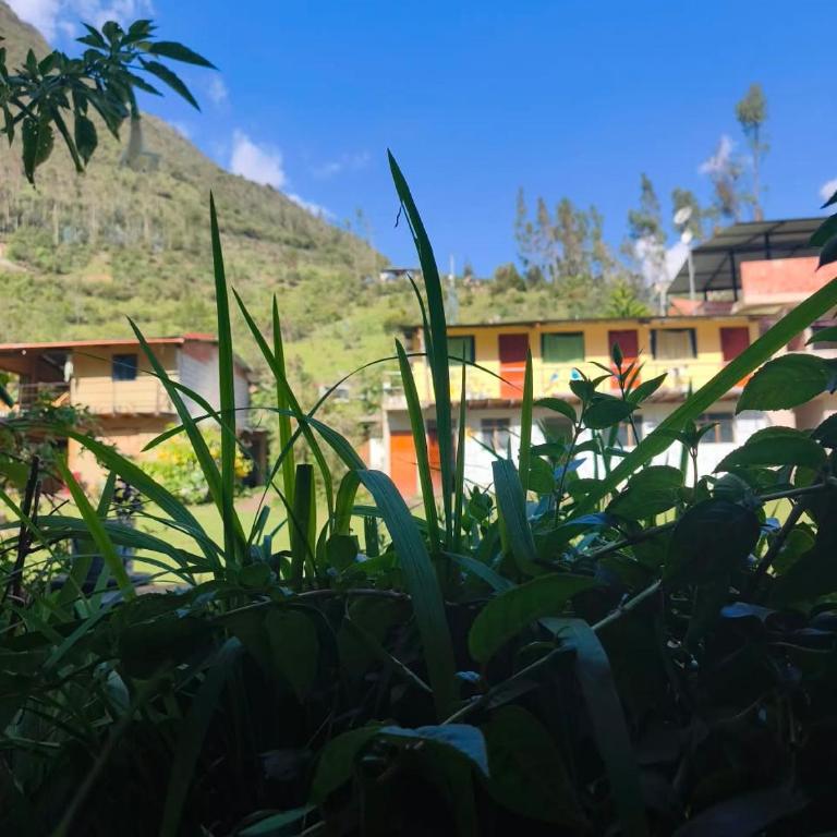 Florefundios Huts Collpa - Tent - 55