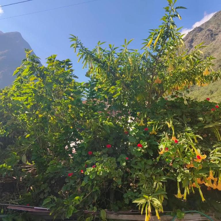 Florefundios Huts Collpa - Tent - 32