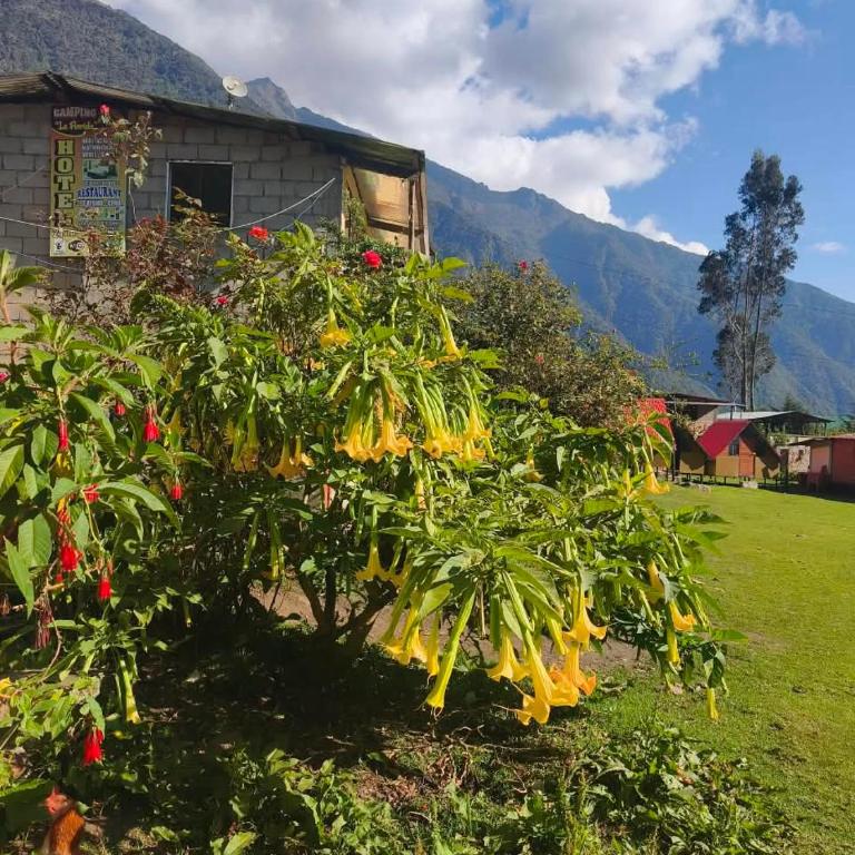 Florefundios Huts Collpa - Tent - 54