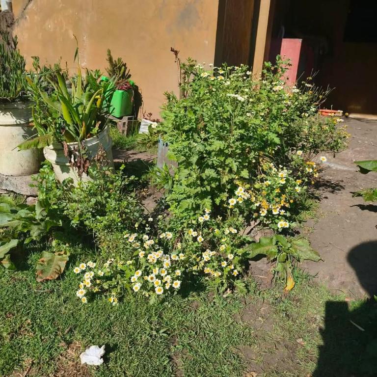 Florefundios Huts Collpa - Tent - 57