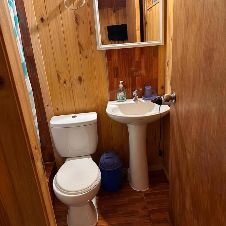 Cabañas Vientos del Sur Licán-ray - One-Bedroom Apartment - 9