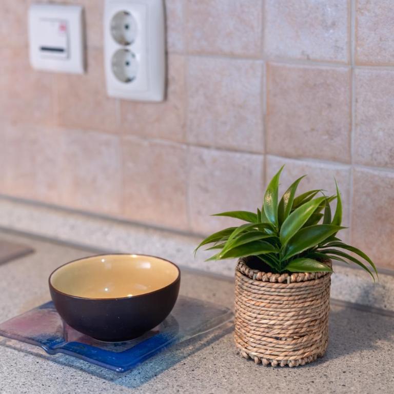 Modern 2BDR apartment in the center - FREE PARKING - Apartman sa 2 Spavaće Sobe - 15