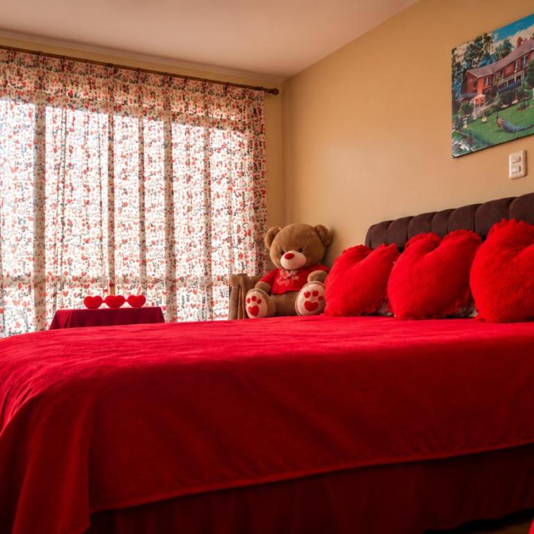 Apus Hotel - Deluxe Double Room - 1