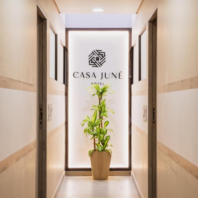 Private Suite and bathroom Strategic area in Pereira 302 - Apartamento de 1 dormitorio - 2