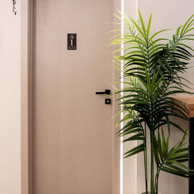 Aura Luxury Suites - Camera Matrimoniale con Bagno Privato - 43